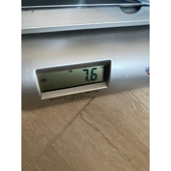 Eileen Fisher Shorts Large Chino Pleat Belted High Rise Zip Cuffed Hem Gray Prep - Picture 14 of 15